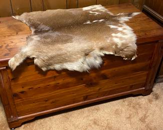 Cedar Chest