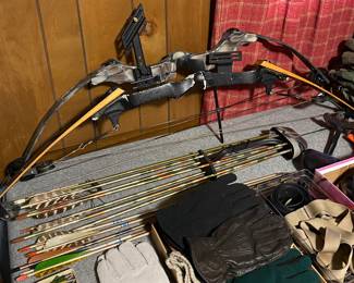 Compound Bows/Arrows