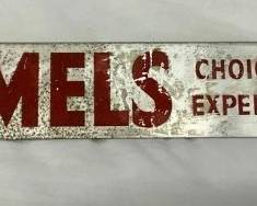 CAMELS CHOICE OF EXPERIENCE SIGN