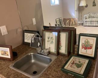 Framed art and botanical prints