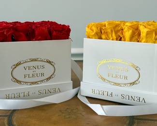 Venus et Fleur Roses