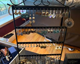 Ladies Fashion Earrings