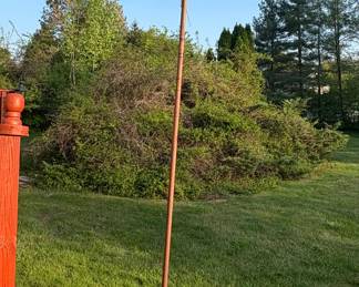 PLANT HANGER
