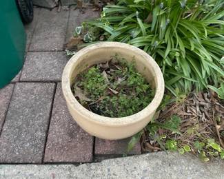 POT