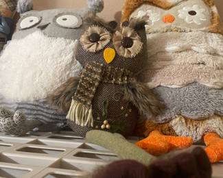 OWL FRIENDLY HOME HERE !!