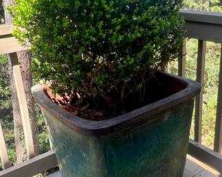 2 large 25 inch pots $100 each 