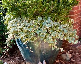 large 25" pot $120