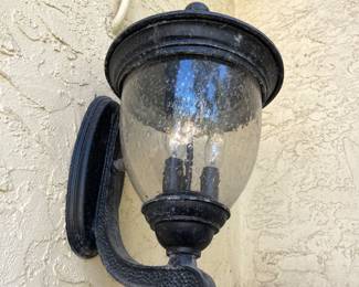 Outdoor light