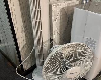 fans