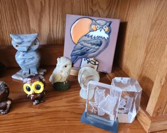 Owl Collection