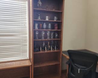 Tall Bookshelf