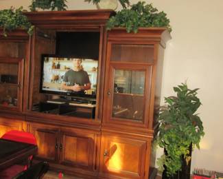 jan wall unit and tv