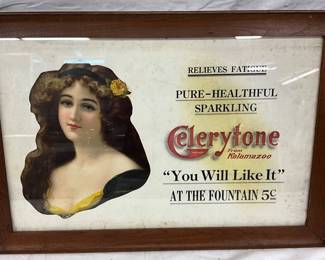 Framed Adv Celerytone 24 x 16 Cardboard