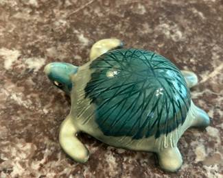 McCarty Turtle! Super Colors!