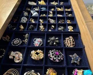 Jewelry, vintage pins and earrings.