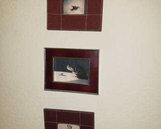 Frames