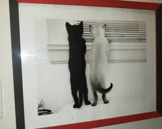 Cat Wall Decor