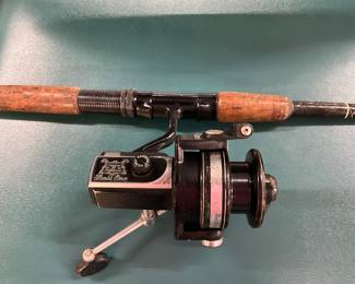 Daiwa Spinning Rod & Reel