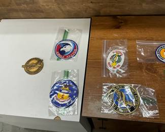 Pratt & Whitney Engines Pin/Patch - USAF Eagle Keeper Squadron Patch - 36th TFW Tactical Fighter Wing Eagle Squadron Patch