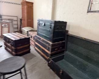 Another angle of the trunks