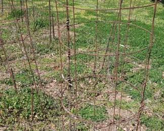 tomato cages