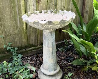 Concrete bird bath