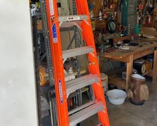Werner 6 ft ladder