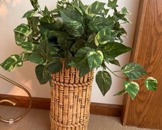 Silk plants