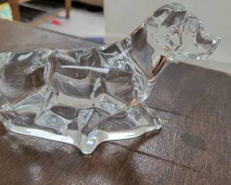 Baccarat dog