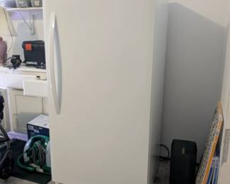 Upright Freezer 
