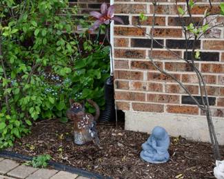 687Front Yard