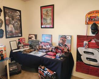 Dale Earnhardt display