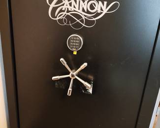 Cannon gun safe