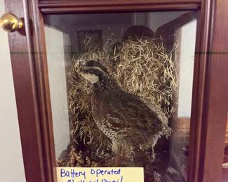 Beautiful quail mount inside!