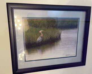 "Great Blue Heron" photo by Dean Johnstone of Port Lavaca