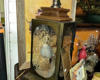 One of a pair of matching taxidermy quail display lamps