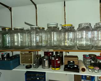 Lots of large glass jars