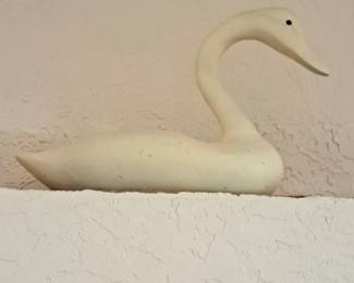 Large swan