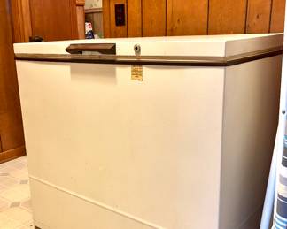 Freezer 