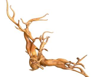 Tree Root Deer Carving