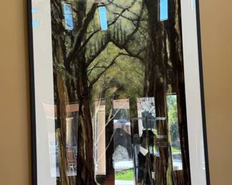 74" x 38" without frame
