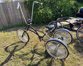 Adult Tricycle 
