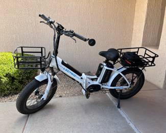 Lectric bike