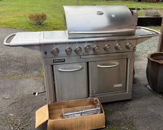 Outdoor BBQ with rotisserie 