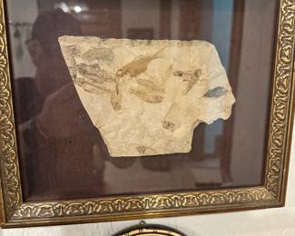 Fossil