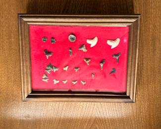 Shark Tooth Art
