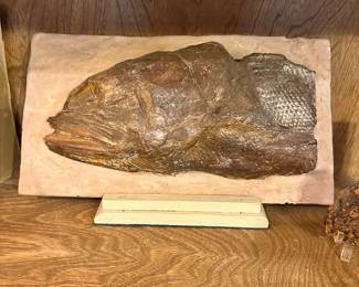 Fish Fossil