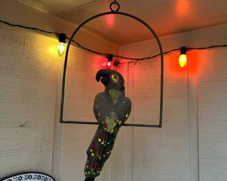 Parrot