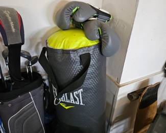 Everlast Punching Bag & Gloves 