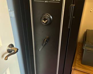 Field & Stream Gun Safe
